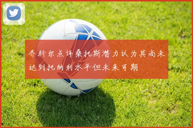 乔科尔点评桑托斯潜力认为其尚未达到托纳利水平但未来可期