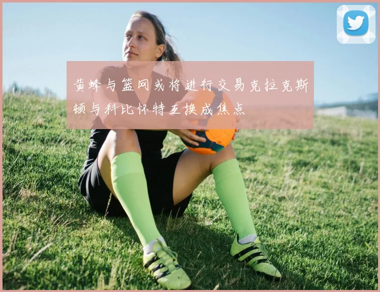 黄蜂与篮网或将进行交易克拉克斯顿与科比怀特互换成焦点